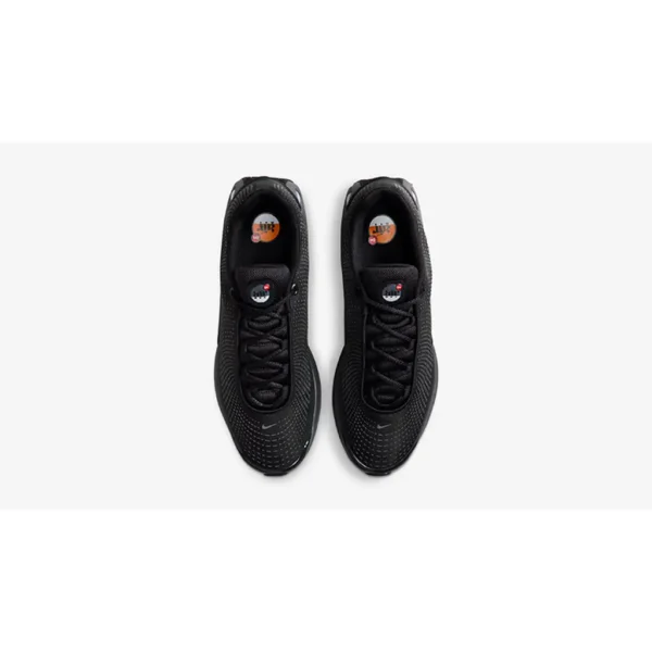 dn anthracite